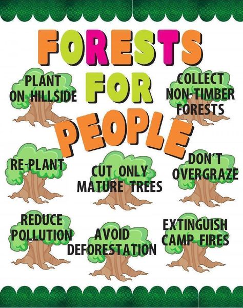 Make a Forest for People Poster | Forest Conservation Poster Ideas Save Forest Poster Drawing, Forest Conservation Poster, Save Forest Poster, Conservation Poster Ideas, Conservation Poster, Save Animals Poster, Poster Drawing Ideas, Wildlife Week, Nature Quotes Beautiful