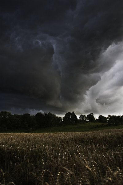 BLACK SKIES by Le-Mulot.deviantart.com Christophe Jacrot, Dark Weather, Dark Naturalism, Cloudy Weather, Dark Paradise, Storm Clouds, Bad Weather, Nature Aesthetic, Pretty Places