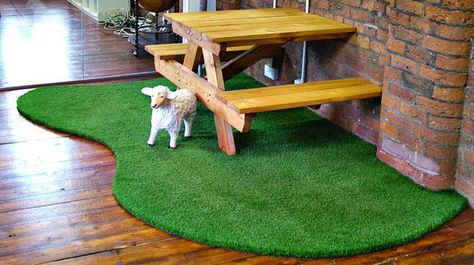 5 Examples of Astroturf Used INDOORS » Curbly | DIY Design Community  Basement Rug? Fake Grass Carpet, Fake Grass Rug, Artificial Grass Backyard, Artificial Grass Rug, Artificial Grass Carpet, Indoor Picnic, Grass Rug, Grass Carpet, Faux Grass