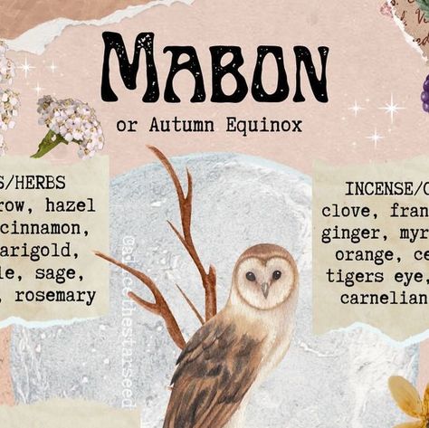 Alice Rachel Kendall Singh on Instagram: "MABON GUIDE 🍁✨🍂 I made this mini guide to capture the atmosphere of Mabon and to share a few correspondences for plants, incense, crystals, deities, animals and altar decor. If you’re celebrating Mabon soon are you excited? Creative content and collage art by @alicethestarseedwitch Follow @alicethestarseedwitch for more witchy and magical content... #Mabon #mabonguide #Mabonblessings #Maboncorrespondences #wheeloftheyear #autumnequinox" Altar Decor, Creative Content, Altar Decorations, Collage Art, Incense, To Share, Collage, Crystals, Plants