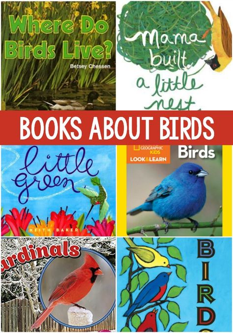 Books About Birds for Preschool. The best books for teaching and learning about birds in your preschool or kindergarten classroom. Perfect for spring! #preschool Birds For Preschoolers, Books About Birds, Birds For Kids, Kindergarten Classrooms, Literacy Activities Preschool, Pre K Pages, Preschool Art Projects, Preschool Units, Child Education