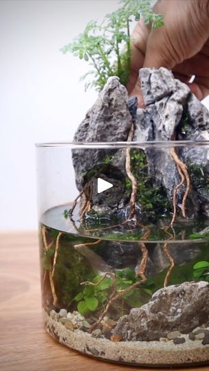 76K views · 1.9K reactions | Making a mini waterfall paludarium (full video) #paludarium #miniature #waterfall #reels | The Urban Nemophilist | The Urban Nemophilist · Original audio Paludarium Waterfall, Waterfall Paludarium, Waterfall Terrarium, Paludarium Mini, Miniature Waterfall, Mini Waterfall, Indoor Waterfall, Water Gardens, Dyi Projects