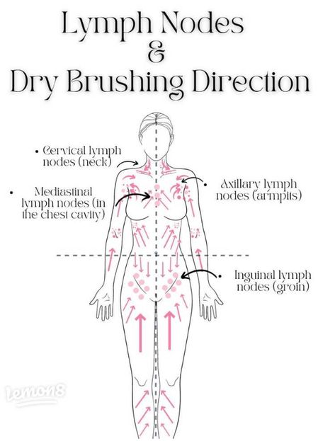 Introducing the ultimate self-care tool: the Full Body Dry Brush and Scalp Stimulator! This innovative device combines the benefits of a dry brush and a scalp stimulator, offering you a comprehensive solution for rejuvenating your body and promoting optimal hair health and growth. With its unique design, this versatile tool features silicon needles specifically designed for both dry brushing and scalp stimulation. Let's delve into its remarkable benefits: 1. Stimulates Hair Growth: The Full Body Dry Brushing Diagram, Full Body Lymph Drainage, Facial Dry Brushing, Dry Brush Face, Dry Brushing Before And After, Scalp Stimulator, How To Dry Brush, Lymph Drainage Massage, Body Massage Techniques