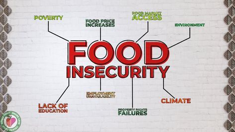 If you, or someone you know, is struggling with food insecurity, we can help! We will be open and distributing food tonight from 7:00 pm to 9:00 pm at 9030 Brookfield Avenue in Brookfield. For more information about the Pantry, including details on our service area, please visit our website at www.sharefoodsharelove.com. College Project, Service Area, College Projects, Price Increase, Food Insecurity, Food Security, Food Bank, In America, Pantry