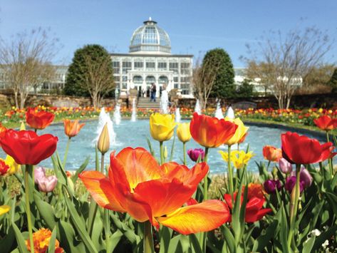 30 Days of Flowers - VirginiaLiving.com Fence Planning, Lewis Ginter Botanical Garden, Botanical Display, Healing Garden, Children's Garden, Garden Rose, Better Homes And Garden, Public Garden, Garden Club