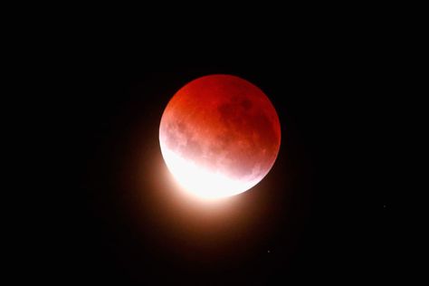 The blood moon lights up the sky during a total lunar eclipse on April 4, 2015 in Auckland. Red Moon Meaning, Blood Moon Lunar Eclipse, Blood Red Moon, Moon Meaning, Eclipse Lunar, Eclipse Solar, Moon Eclipse, Red Moon, Super Moon