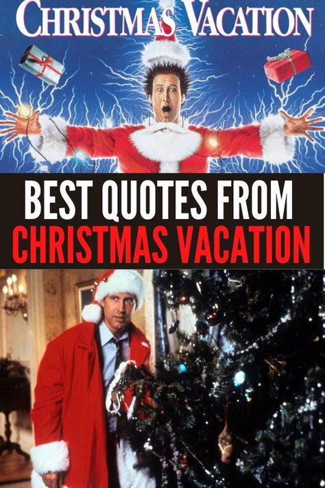 Christmas Vacation Costumes, Christmas Movie Quotes Funny, Holiday Movie Quotes, Vacation Quotes Funny, National Lampoons Christmas Vacation Movie, Christmas Vacation Movie Quotes, Best Christmas Vacations, Griswold Christmas Vacation, Best Holiday Movies