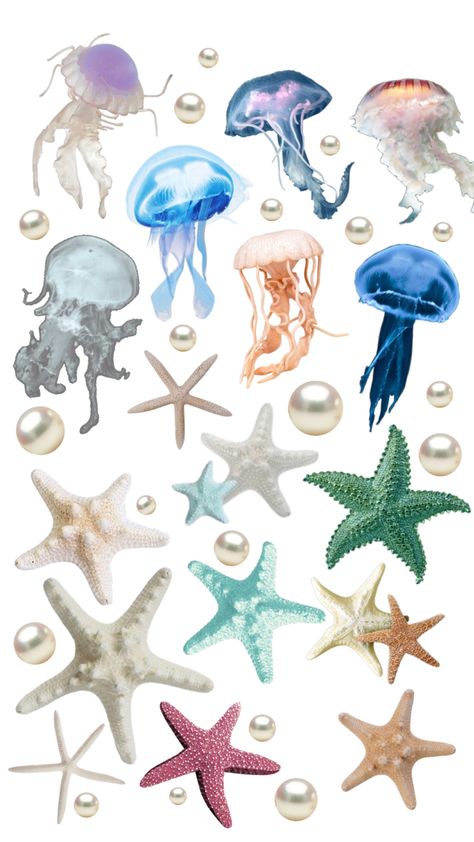 Jellyfish Stickers Printable, Sea Stickers Ocean, Ocean Scrapbook, Sea Stickers, Jellyfish Sticker, Sea Decoration, Ocean Stickers, Beach Elements, Starfish Art