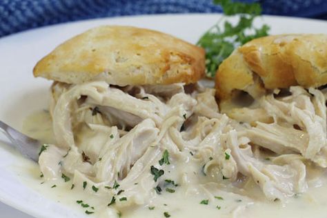 Shredded Chicken And Biscuits Recipes, Chicken And Busicuts Recipe, Creamed Chicken Over Biscuits, Chicken Over Biscuits, Chicken Gravy And Biscuits, Creamed Chicken, Cream Chicken Recipes, Christmas Luncheon, Make Shredded Chicken