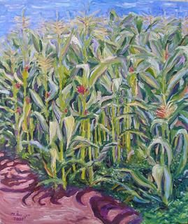 Corn Field Painting, Corn Field Drawing, Produce Signs, Iowa Landscape, Colorful Art Projects, Corn Fields, Corn Field, Farm Paintings, Paint Rocks