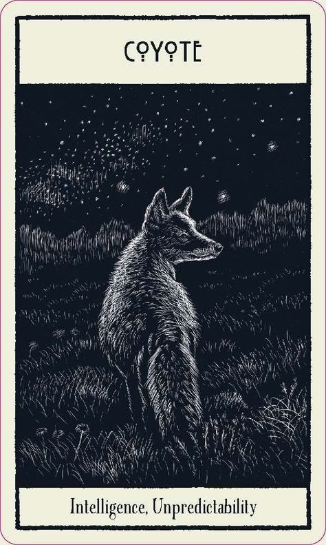 Untamed Spirit Oracle Cards - Coyote Coyote Drawing, Coyote Animal, Cowboy Poetry, Black Coyote, Dark Spirit, Watership Down, Animal Symbolism, Canine Art, A Wolf