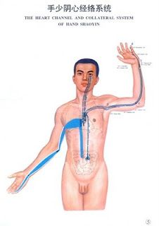 Heart Meridian Points, Heart Meridian, Acupuncture Points Chart, Meridian Lines, Meridian Points, Throat Pain, Dry Throat, Strep Throat, Acupuncture Points