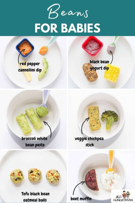 Beans are terrific first foods for babies! Here's how to cook and serve to your baby along with plenty of recipes to help make introducing beans easy and fun! Blw Beans, Beans For Babies, Beet Muffins, Foods For Babies, Red Beans Recipe, Banana Baby Food, Blw Recipes, Oatmeal Balls, Butter Beans Recipe