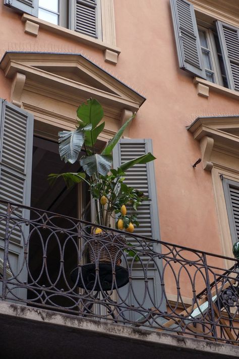 Italian Home Aesthetic, Italian Balcony, Terrace Ideas, Italian Living, Italian Home, Plant Aesthetic, Lemon Tree, Apartment Balconies, Summer 2023