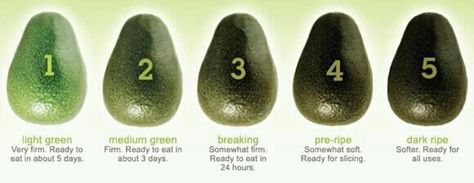 Avocado ripeness, how to tell how many days until ripe How To Ripen Avocados, Avocado Health Benefits, Food Info, Avocado Recipes, Food Facts, Baking Tips, Vitamin D, Fruits And Veggies, Artichoke