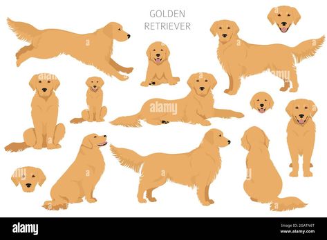 Golden Retriever Character Design, Golden Retriever Puppy Drawing, Labrador Retriever Drawing, Golden Retriever Running, Dog Garland, Running Clipart, Retriever Illustration, Golden Retriever Cartoon, Golden Retriever Illustration