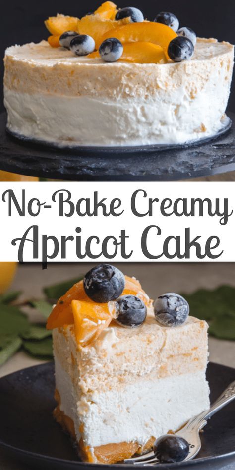 This Creamy Apricot Cake is made with fresh apricots and its a no bake dessert. It's the perfect summer cheesecake, fresh and creamy . #apricotdessert #cheesecake #nobakedessert #summerdessert #fruitcake #cake #nobakecake Summer Cheesecake, Classy Cake, Apricot Dessert, Fresh Apricots, Apricot Cake, Apricot Recipes, Homemade Pudding, Bake Recipes, Refreshing Desserts