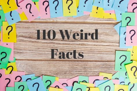 Strike up the most interesting convos by dropping one of these cool—yet undeniably weird facts that’ll get everyone talking! You might turn these weird facts into trivia questions and play virtual trivia games with your friends. Or, you could simply surprise someone by sending one of these weird, but true facts to your favorite people [...] Crazy Animal Facts, Weird Fun Facts, Weird But True Facts, Weird Animal Facts, Daily Fun Facts, Studying Memes, Weird But True, Google Hangouts, Trying To Get Pregnant