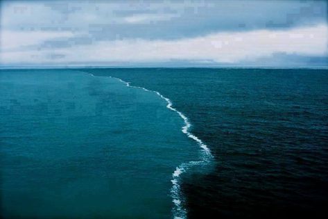 Sea barrier miracle in the Gulf of Alaska-2 oceans meet, but do not mix Two Oceans Meet, Gulf Of Alaska, Skagen Denmark, Image Nature, Alaskan Cruise, North Sea, Natural Phenomena, Skagen, Salt And Water