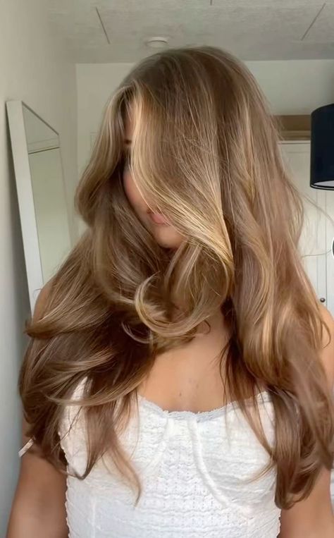 Vintage Brunette Hair, Light Brown Hair Blowout, Natural Sunkissed Highlights, Audrey Lillian Hair, Long Brown Hair Color Ideas, Honey Blonde Hair Blue Eyes, Honey Blonde Hair With Dimension, Butterscotch Hair Color Caramel, Deep Golden Brown Hair