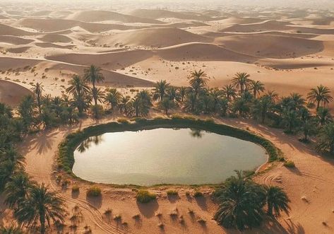 Siwa Oasis, Desert Aesthetic, Desert Environment, Desert Life, Desert Oasis, Fantasy Places, المملكة العربية السعودية, Sand Dunes, In The Desert