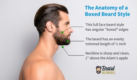 Short Boxed Beard Style: Grow, Trim, & Examples (Full Guide) Box Beard Styles, Beard Neckline Guide, Clean Cut Beard, Trimmed Beard Styles, Beard Trimming Guide, Beard Trimming Styles, Beard Neckline, Short Boxed Beard, Medium Beard Styles