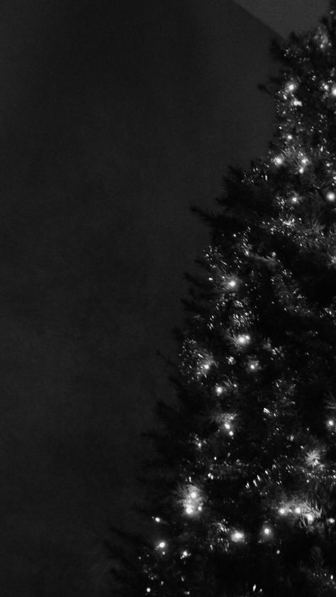 Winter Goth Aesthetic Photos - Dark Christmas Vibes Dark Christmas Aesthetic Wallpaper, Gothic Christmas Aesthetic, Black Christmas Decor, Winter Goth, Christmas Lockscreen, Gothic Christmas, Xmas Wallpaper, Christmas Aesthetic Wallpaper, Christmas Collage