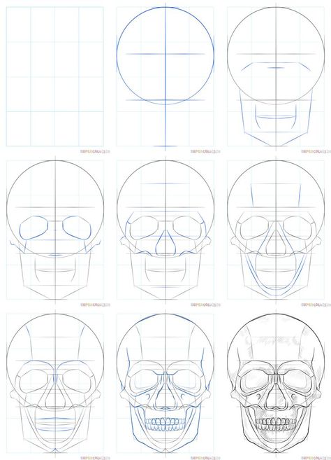 How To Skull Drawing, Skull For Drawing, Skull Drawing How To, How To Draw A Human Skull, Drawing The Skull, How To Sketch A Skull, How To Draw Human Skeleton, Human Skull Drawing Sketches, Skull Sketch Tutorial