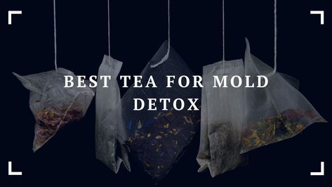 Best Teas for Mold Detox - Natural Remedies for a Healthy Body Mold Toxicity, Flush Out Toxins, Best Teas, Mold Exposure, Cleanse Your Body, Natural Detox, Wellness Journey, Best Tea, Detox Tea