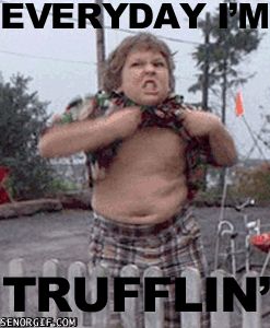 Cheezburger movies celebrities dancing goonies Truffle Shuffle, The Goonies, Goonies, Film Serie, Great Movies, Bones Funny, Movie Quotes, Truffles, Childhood Memories