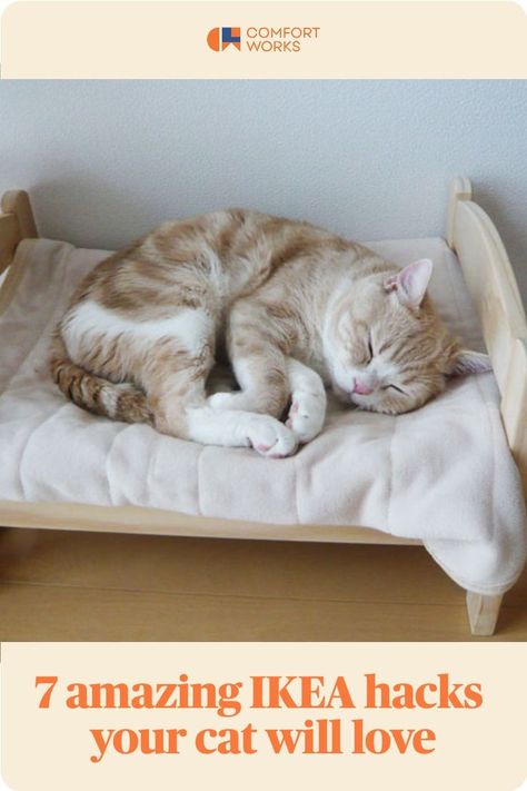 7 amazing IKEA hacks your cat will love Ikea Cat Bed Hack, Cat Ikea Hacks, Renter Friendly Cat Furniture, Ikea Hacks Cats, Ikea Cat Hack, Ikea Shelf Cat, Ikea Hacks For Cats, Amazing Ikea Hacks, Comfort Words