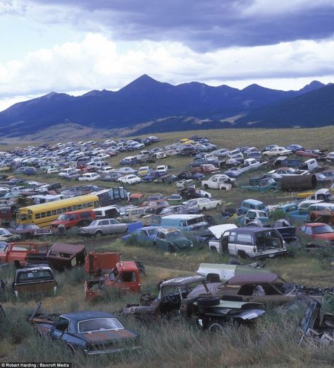 Thousands of rusting motors sit idly in the shadows of the Rocky Mountains in Montana. Most will eventually be snapped up for parts, recycled or even used as film extras in blockbuster movies. Old Abandoned Cars, Car Graveyard, Barn Finds Classic Cars, Car Yard, Car Dump, Junkyard Cars, Barn Find Cars, Wrecking Yards, Car Barn