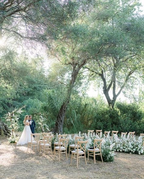 lorraine Young on Instagram: "Natural Olive Grove Ceremony. Alexis & Dan 21.08.2022 Venue @myluxurycorfuvillas Catering @thevenetianwell Makeup @nasosgrammenos_mua Hair @vaso_kitta @celebrityhairstudio Photographer @lesanagnou Video @wedcinematics Floral Design @rizosgarden Design & styling @corfuwwddingplanner Cake @cakeboutiquecorfu Music @corfudj @musicnowgr @tonylazos @soundcheckcfu Stringlights and lighting @luxury_djevents Bar @botanist_corfu_bar_catering" Olive Grove Wedding Ceremony, Bar Catering, Corfu, Lorraine, Wedding Ceremony, Floral Design, Photographer, Makeup, Floral