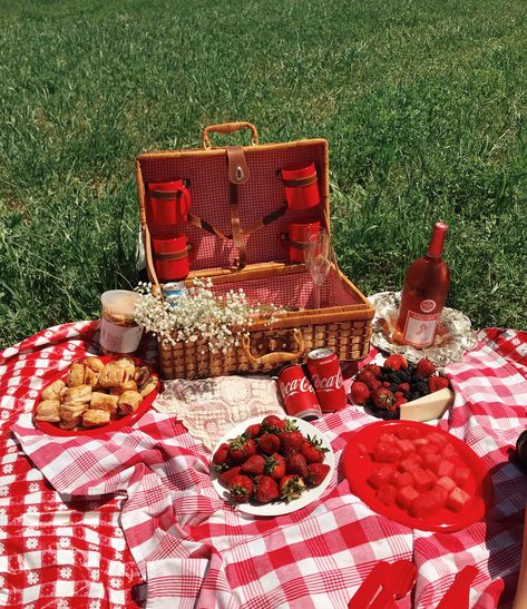 Luxury Picnic Basket, Outdoor Camping Party, Picnic Planning, Adare Manor, Picnic Basket Set, Waterproof Picnic Blanket, Picnic Theme, Picnic Cooler, Picnic Hamper