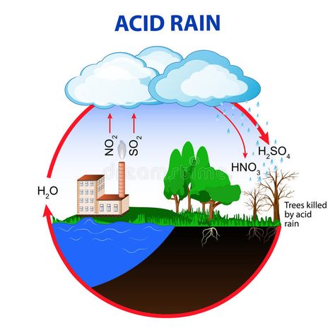 Rain Illustration, Chemistry Projects, Rain Pictures, Ecology Design, Acid Rain, College Life Hacks, Water Molecule, History Timeline, Water Cycle