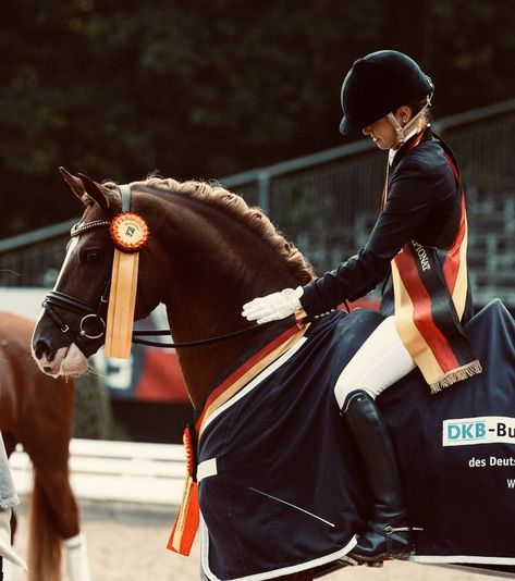 Horse Competition Aesthetic, Dressage Aesthetic, Show Jumper Aesthetic, Rich Equestrian Aesthetic, Aesthetic Horseriding, Hunter Jumper Aesthetic, Horse Riding Show Jumping, Equitation Aesthetic, Equestrian Aesthetic Dressage