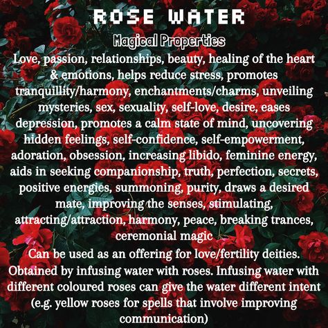 Rose Water Magical Uses & Properties Uses For Rose Water, Water Spells, Candle Magic Spells, Magickal Herbs, Florida Water, Witch Tarot, Witch Spirituality, Magic Spell Book, Magic Herbs