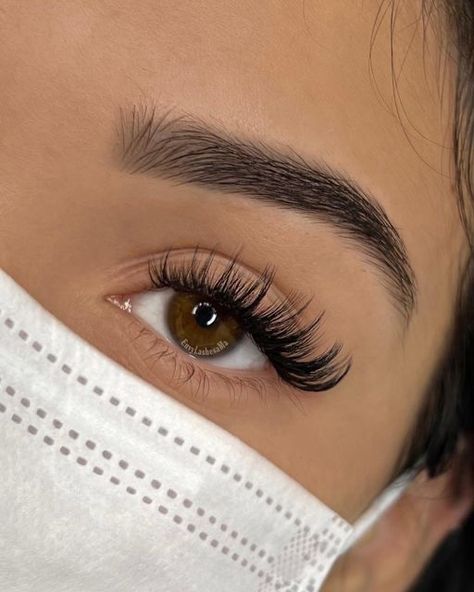 Doll Eye Hybrid Lashes, Wing Lash Extensions, 17mm Lash Extensions, Whisky Hybrid Lashes, Wet Hybrid Lash Extensions, Lash Extension Hybrid, Spiky Eyelash Extensions, Hybrid Cateye Eyelashes Extensions, Hybrid Open Eye Lash Extensions