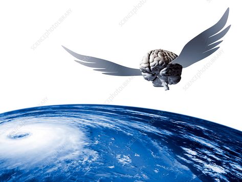 Idea. Conceptual computer artwork of an idea taking flight, showing a winged brain flying over Earth. The image could also represent the use of intelligent satellites to study weather patterns on Earth, such as the hurricane at lower left. Science Photos, Weather Patterns, Buy Prints, Photo Library, Conceptual Art, To Study, On Earth, Brain, Flight