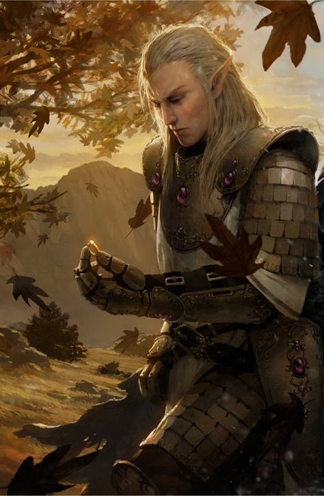 Elf Knight Rpg Wallpaper, Male Elf, John Howe, Elf Warrior, Elves Fantasy, Elf Art, Heroic Fantasy, High Elf, Fantasy Races