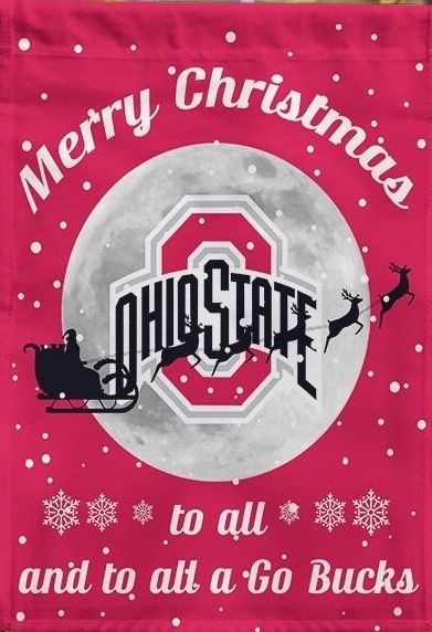 Ohio State Brutus, Ohio State Vs Michigan, Ohio State Wallpaper, Ohio State College, Osu Buckeyes Football, South Carolina Football, Michigan Christmas, Cheerleading Tshirts, Buckeye Baby