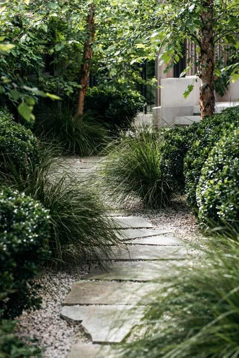 When Japanese, contemporary and ‘cottage garden’ influences collide — Haberfield, Sydney | Sage Journal Hardscape Design, Australian Garden, Coastal Gardens, Stone Path, Side Garden, Have Inspiration, Contemporary Garden, Native Garden, Apartment Garden