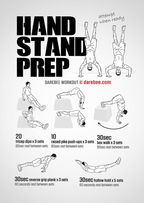 Handstand Prep Workout Exercises For Handstands, Calisthenics Warmup, Handstand Prep, Parkour Workout, Calisthenics Workouts, Calisthenics Workout Routine, Handstand Training, Stamina Workout, Parkour Training