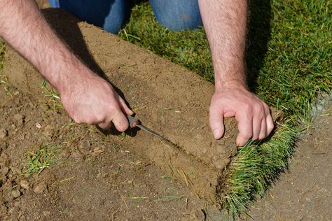 Sod Vicious, Sod Backyard Landscaping, Sod Before And After, Removing Sod, Sod Installation, Lawn Care Tips, Straight Edges, Lawn Care, Agriculture