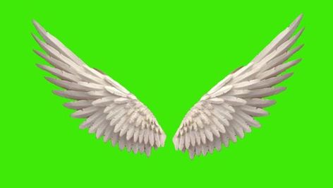 Wings Green Screen, Angel Wings Green Screen, Angel Wing Overlay, Wings Video, Green Screen Animation, Best Green Screen, Lucifer Wings, Video Overlay, Free Green Screen Backgrounds