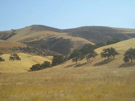 Oaks, Grasslands and Rolling Hills - Classic California Landscape by Roman Eye, via Flickr California Hills, Camping Kettle, California Camping, California Landscape, Camping Experience, Rolling Hills, Environment Concept Art, California Travel, Landscape Photos