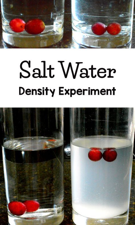 Salt Water Density Experiment, Water Density Experiment, Density Experiment, Vetenskapliga Experiment, Science Experiments Kids Preschool, Science Experience, Water Experiments, Sink Or Float, Experiment For Kids