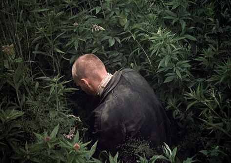 Stalker Tarkovsky, Stalker 1979, Andrei Tarkovsky, Building, On Instagram, Instagram