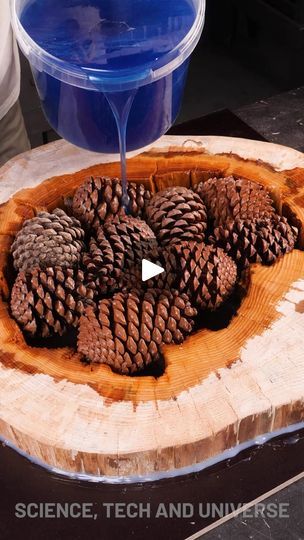 Log Projects, Epoxy Wood Table, Cone Crafts, Epoxy Table Top, Resin Crafts Tutorial, Fun Crafts To Do, Pine Cone Decorations, Epoxy Resin Table, Cones Crafts