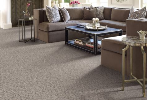 Beautiful Carpet Installation Life Proof Vinyl Flooring, Wood Flooring Options, Cambria Countertops, Vinyl Floor Covering, Floor Renovation, Vinyl Laminate Flooring, Carpet Trends, Shower Floor Tile, Flooring Inspiration